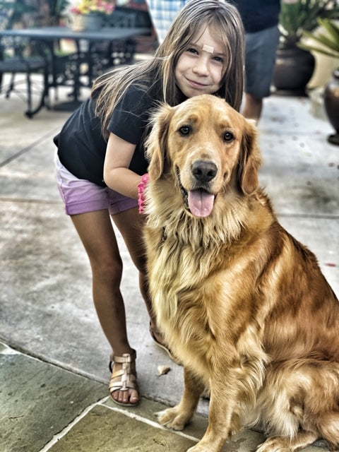 Golden retriever healthy dogs